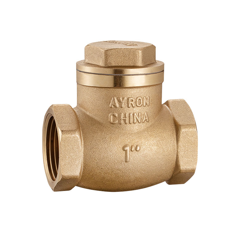 3900 Brass swing check valve